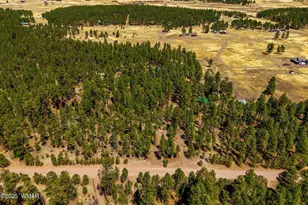 61 Co Rd 2266, Alpine, AZ 85920 - Photo 48