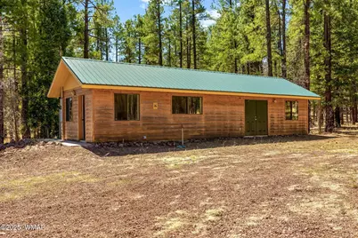 61 Co Rd 2266, Alpine, AZ 85920 - Photo 42