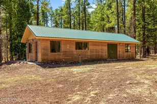 61 Co Rd 2266, Alpine, AZ 85920 - Photo 42