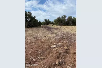 8332 Pinon Drive, Show Low, AZ 85901 - Photo 4