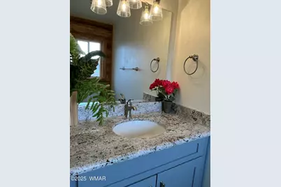 446 Becker Lake Road, Springerville, AZ 85938 - Photo 16