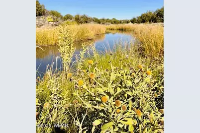 8659 Coronado Drive, Show Low, AZ 85901 - Photo 12