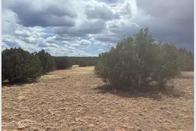 8659 Coronado Drive, Show Low, AZ 85901 - Photo 4