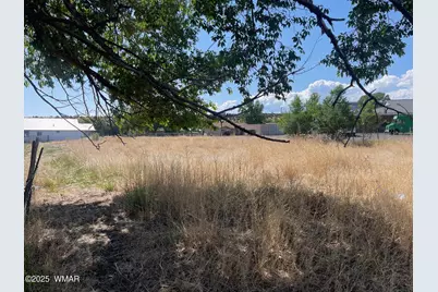 Tbd 4th Avenue, Eagar, AZ 85925 - Photo 1