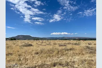 Tbd Tumbling T Drive, Springerville, AZ 85938 - Photo 4