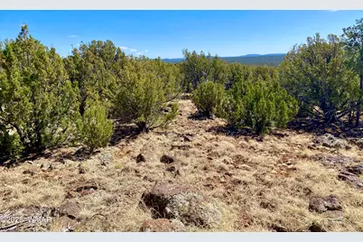 74 County Road 8056, Concho, AZ 85924 - Photo 12