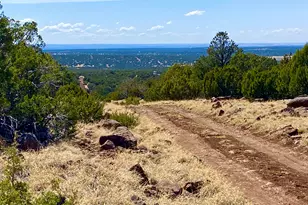 74 County Road 8056, Concho, AZ 85924 - Photo 1