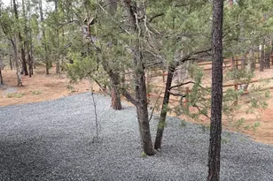 2264 Aspen Run, Pinetop, AZ 85935 - Photo 42