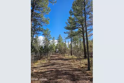 5449 Herd Street, Pinedale, AZ 85934 - Photo 1