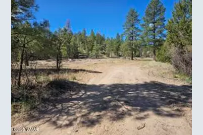 3326 Black Canyon Road, Heber, AZ 85928 - Photo 10