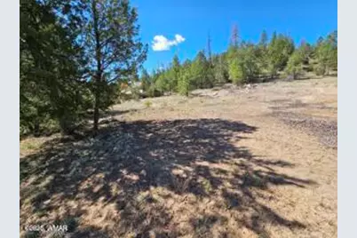 3326 Black Canyon Road, Heber, AZ 85928 - Photo 4