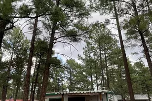 181 N 6th Dr, Show Low, AZ 85901 - Photo 2
