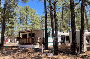 181 N 6th Dr, Show Low, AZ 85901 - Photo 6