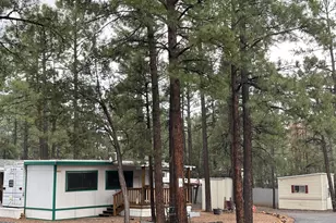 181 N 6th Dr, Show Low, AZ 85901 - Photo 4