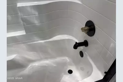 1030 N Crown Circle, Taylor, AZ 85939 - Photo 82