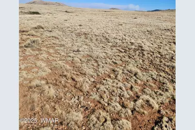 90 N3532, Unit 3 #3, Concho, AZ 85924 - Photo 1