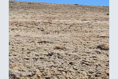 90 N3532, Unit 3 #3, Concho, AZ 85924 - Photo 6