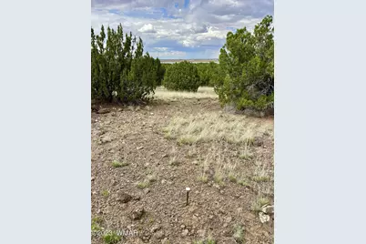 Tbd County Rd N3440, Concho, AZ 85924 - Photo 4
