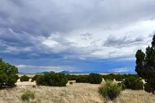 Tbd County Rd N3440, Concho, AZ 85924 - Photo 1