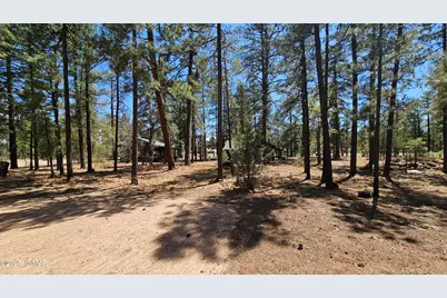 182 W White Mountain Boulevard, Lakeside, AZ 85929 - Photo 62