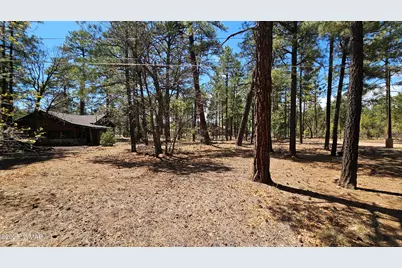 182 W White Mountain Boulevard, Lakeside, AZ 85929 - Photo 70