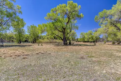 Xxx Larson Road, Lakeside, AZ 85929 - Photo 12