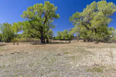 Xxx Larson Road, Lakeside, AZ 85929 - Photo 22