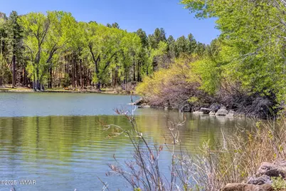 Xxx Larson Road, Lakeside, AZ 85929 - Photo 38