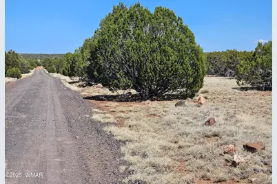 Tbd N8060, Concho, AZ 85924 - Photo 16