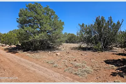 Tbd N8060, Concho, AZ 85924 - Photo 1