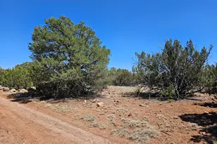 Tbd N8060, Concho, AZ 85924 - Photo 1