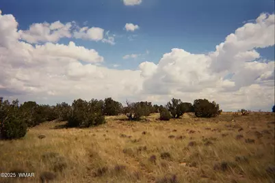 0 N6702, Saint Johns, AZ 85936 - Photo 2