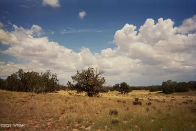 0 N6702, Saint Johns, AZ 85936 - Photo 1