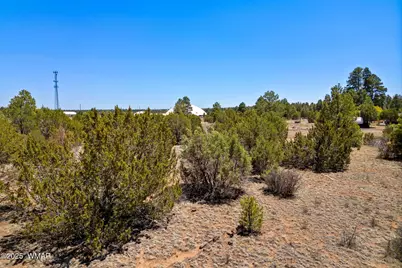 2821 Kelton Circle, Overgaard, AZ 85933 - Photo 4
