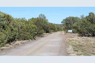 28 County Road N3099, Vernon, AZ 85940 - Photo 12