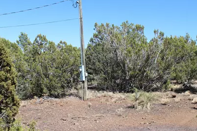 28 County Road N3099, Vernon, AZ 85940 - Photo 4