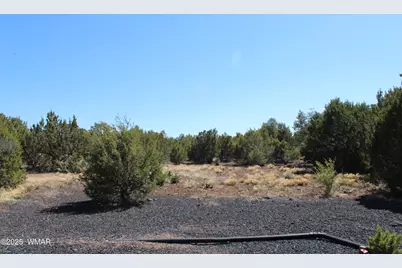 28 County Road N3099, Vernon, AZ 85940 - Photo 10