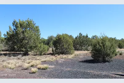 28 County Road N3099, Vernon, AZ 85940 - Photo 1