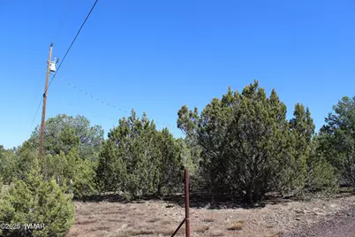 28 County Road N3099, Vernon, AZ 85940 - Photo 2