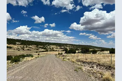 Lot 49 Windsor Valley Ranch, Concho, AZ 85924 - Photo 4