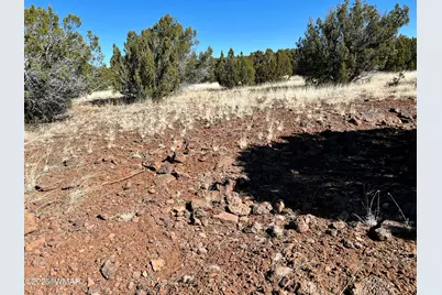 Lot 49 Windsor Valley Ranch, Concho, AZ 85924 - Photo 2