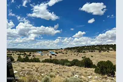 Lot 49 Windsor Valley Ranch, Concho, AZ 85924 - Photo 6