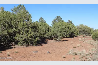 113 County Road 8092, Concho, AZ 85924 - Photo 16