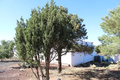 113 County Road 8092, Concho, AZ 85924 - Photo 2