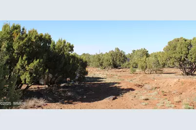 113 County Road 8092, Concho, AZ 85924 - Photo 18