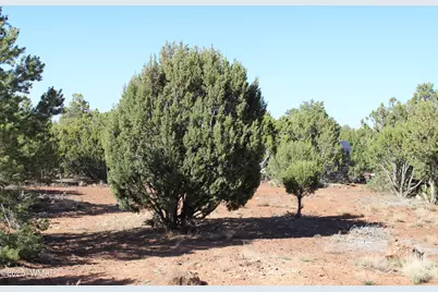 113 County Road 8092, Concho, AZ 85924 - Photo 28