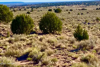 River Meadows Ranch Unit 3 Lot 204, Concho, AZ 85924 - Photo 22