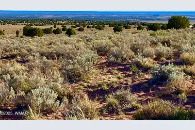 River Meadows Ranch Unit 3 Lot 204, Concho, AZ 85924 - Photo 6