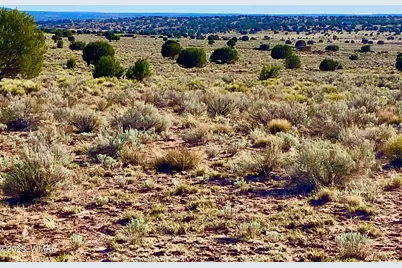 River Meadows Ranch Unit 3 Lot 204, Concho, AZ 85924 - Photo 16