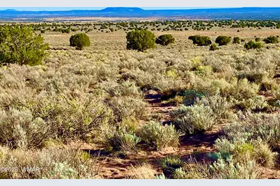 River Meadows Ranch Unit 3 Lot 204, Concho, AZ 85924 - Photo 8